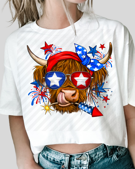 RTS JULY 4TH COW America firworks DTF DIRECT TO FILM transfers size ADULT 10x12